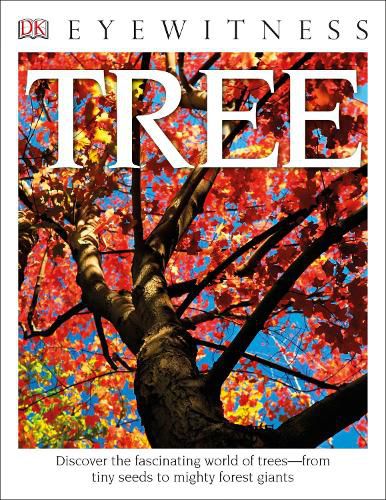 Cover image for DK Eyewitness Books: Tree: Discover the Fascinating World of Trees from Tiny Seeds to Mighty Forest Giants