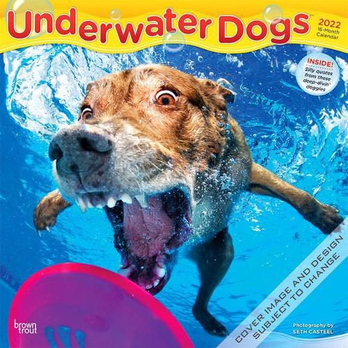 Cover image for Underwater Dogs 2022 Square