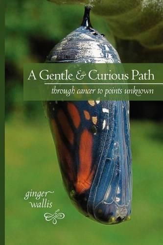 Cover image for A Gentle & Curious Path: Through Cancer to Points Unknown