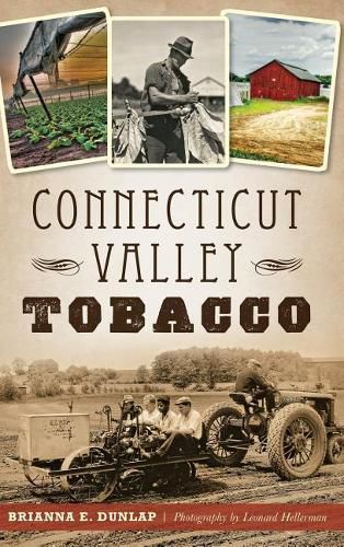 Cover image for Connecticut Valley Tobacco