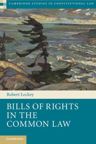 Cover image for Bills of Rights in the Common Law