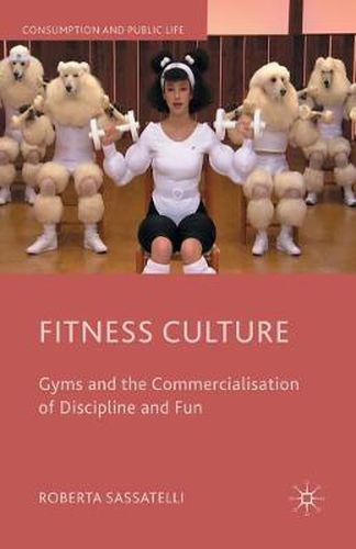 Cover image for Fitness Culture: Gyms and the Commercialisation of Discipline and Fun