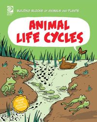 Cover image for Animal Life Cycle