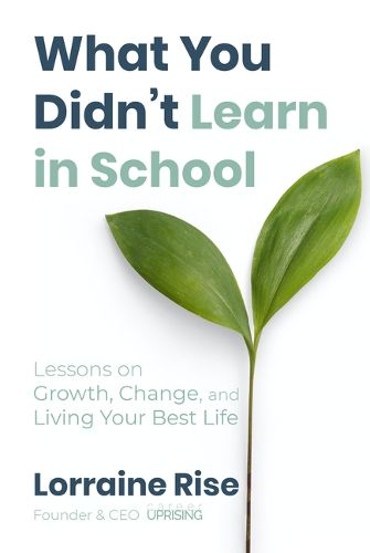 Cover image for What You Didn't Learn in School