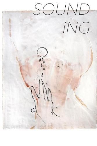 Cover image for Sounding