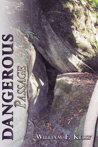 Cover image for Dangerous Passage