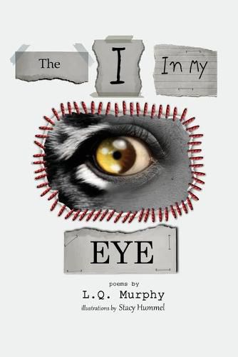 Cover image for The I in my Eye