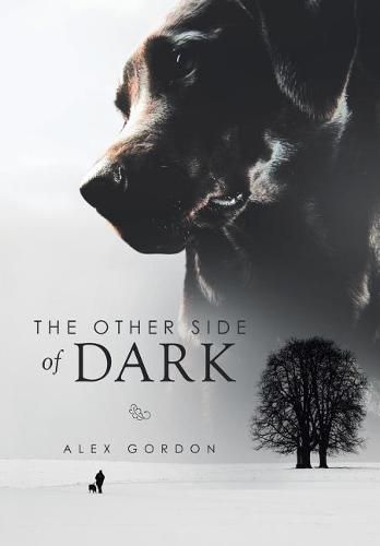 The Other Side of Dark