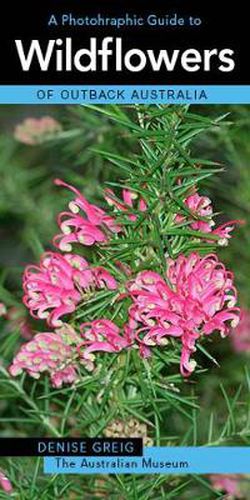 Cover image for A Photographic Guide to Wildflowers of Outback Australia