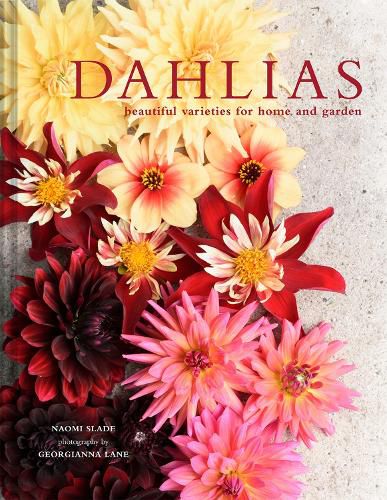 Cover image for Dahlias