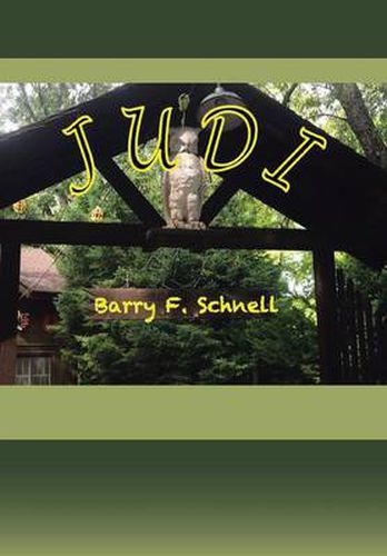 Cover image for Judi