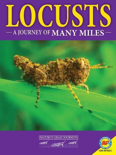 Cover image for Locusts: A Journey of Many Miles