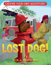 Cover image for Lost Dog!