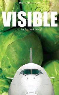 Cover image for Visible