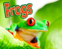 Cover image for Frogs