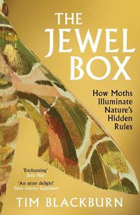 Cover image for The Jewel Box