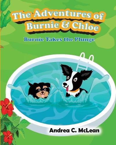 Cover image for The Adventures of Burnie & Chloe