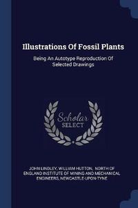 Cover image for Illustrations of Fossil Plants: Being an Autotype Reproduction of Selected Drawings