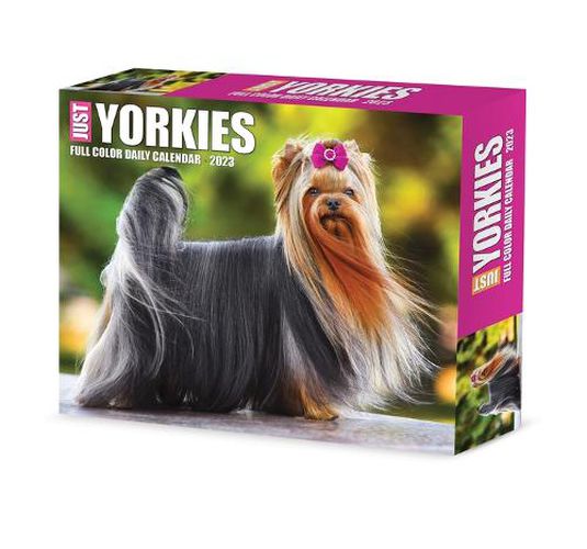 Cover image for Yorkies 2023 Box Calendar