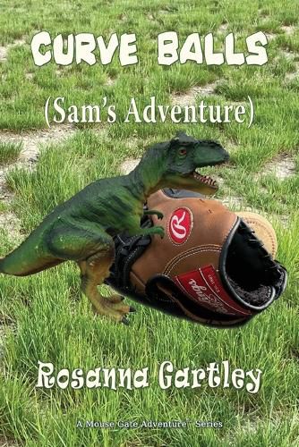 Cover image for Curve Balls: Sam's Adventure