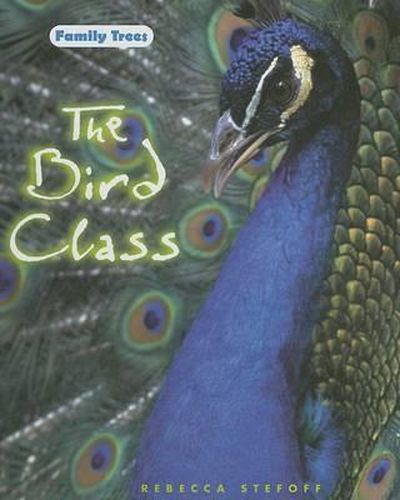 The Bird Class