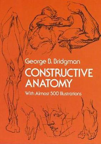 Cover image for Constructive Anatomy