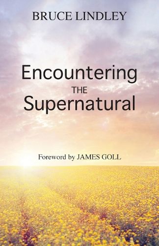 Cover image for Encountering the Supernatural