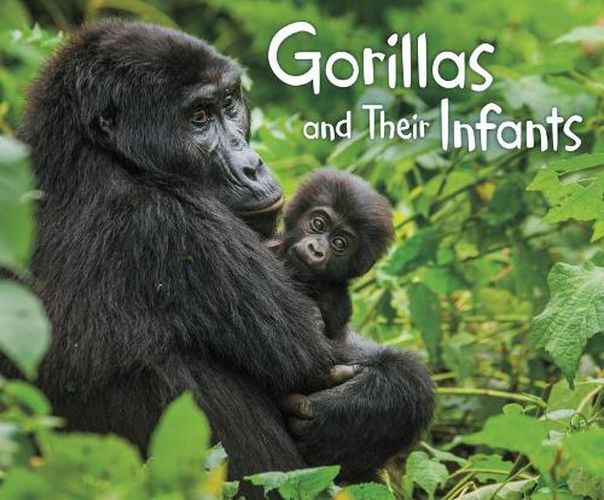 Cover image for Gorillas and Their Infants