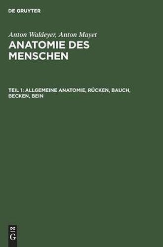 Cover image for Allgemeine Anatomie, Rucken, Bauch, Becken, Bein