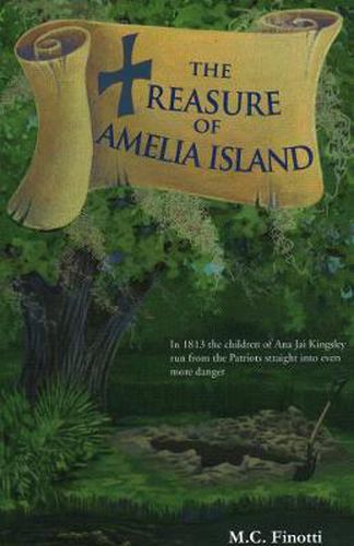 Cover image for The Treasure of Amelia Island