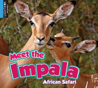 Cover image for Meet the Impala