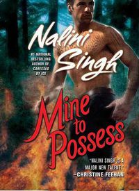 Cover image for Mine to Possess
