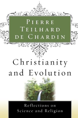 Cover image for Christianity and Evolution