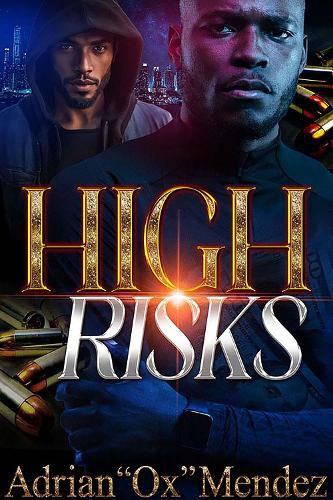 Cover image for High Risks