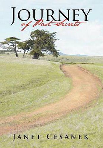 Cover image for Journey of Past Secrets