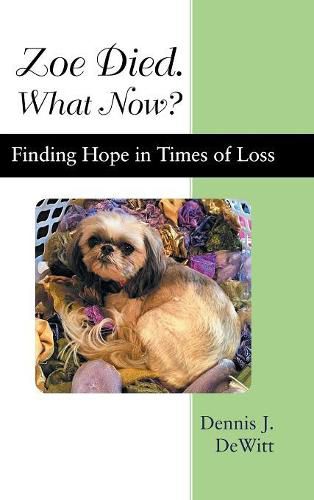 Cover image for Zoe Died. What Now?: Finding Hope in Times of Loss