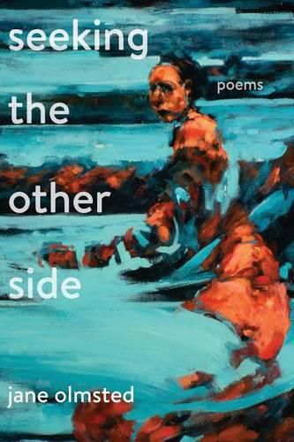 Cover image for Seeking the Other Side