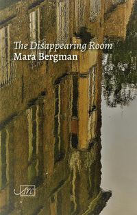 Cover image for The Disappearing Room