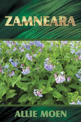 Cover image for Zamneara