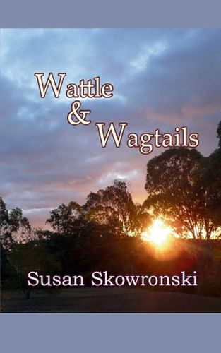 Wattle and Wagtails