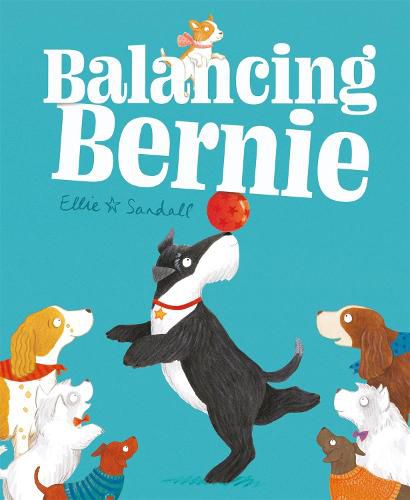 Cover image for Balancing Bernie