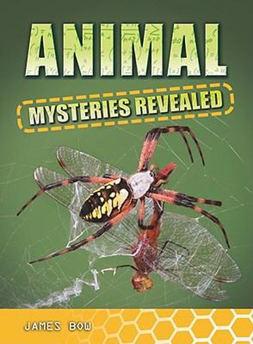 Cover image for Animal Mysteries Revealed