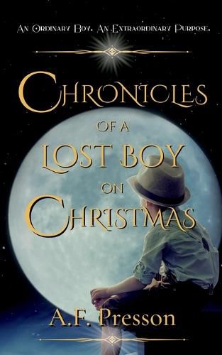 Cover image for Chronicles of a Lost Boy on Christmas