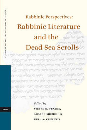 Cover image for Rabbinic Perspectives: Rabbinic Literature and the Dead Sea Scrolls: Proceedings of the Eighth International Symposium of the Orion Center for the Study of the Dead Sea Scrolls and Associated Literature, 7-9 January, 2003