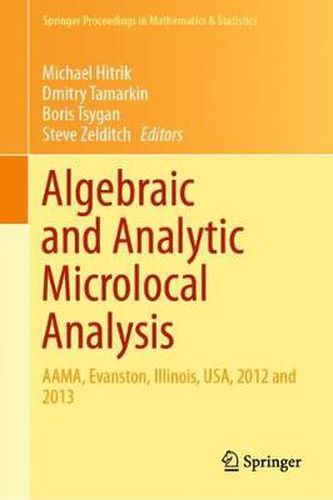 Cover image for Algebraic and Analytic Microlocal Analysis: AAMA, Evanston, Illinois, USA, 2012 and 2013