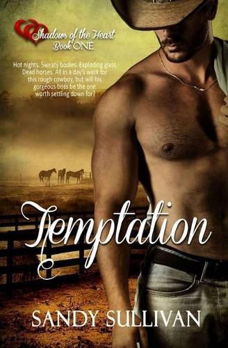 Cover image for Temptation