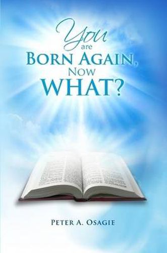 Cover image for You Are Born Again, Now What?