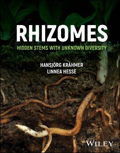 Cover image for Rhizomes