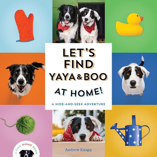 Cover image for Let's Find Yaya and Boo at Home!