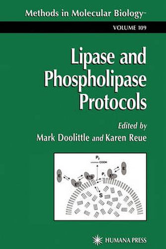 Cover image for Lipase and Phospholipase Protocols